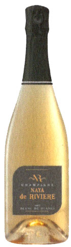 Blanc de Blancs - brut